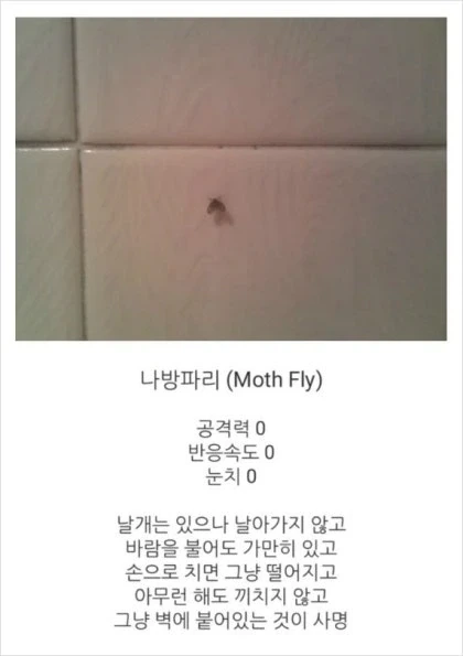 나방파리 스탯_1.webp
