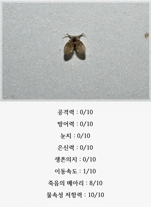 나방파리 스탯_2.webp