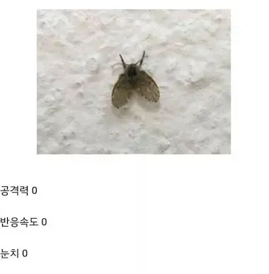 나방파리 스탯_4.webp