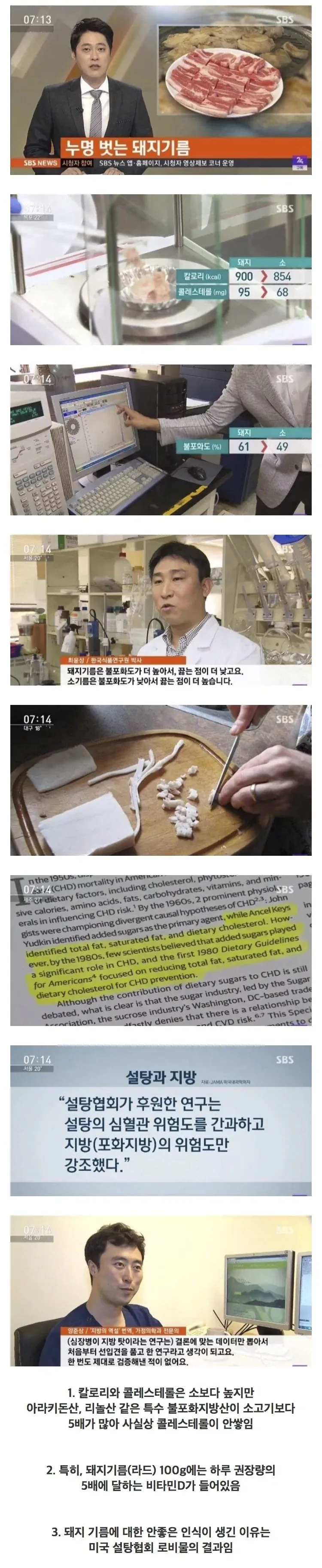 돼지고기 비계가 건강에 좋은 이유_1.webp