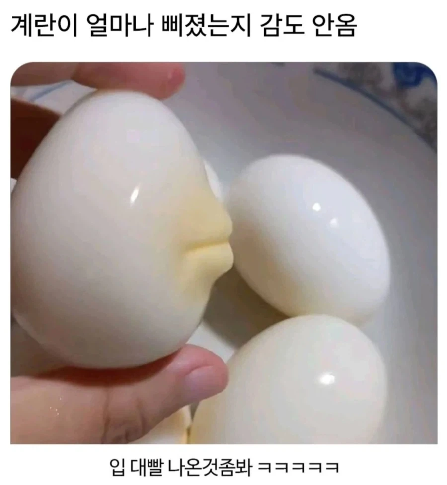 잔뜩 삐진 계란.jpg_2.webp