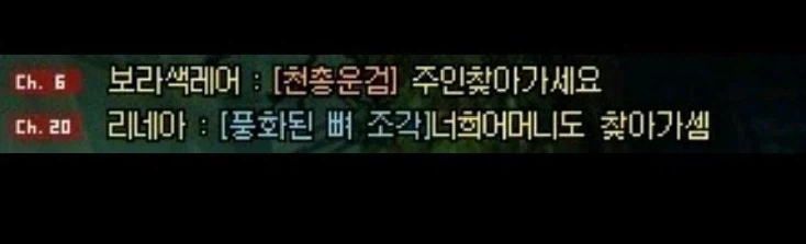비틱 하드카운터_1.webp