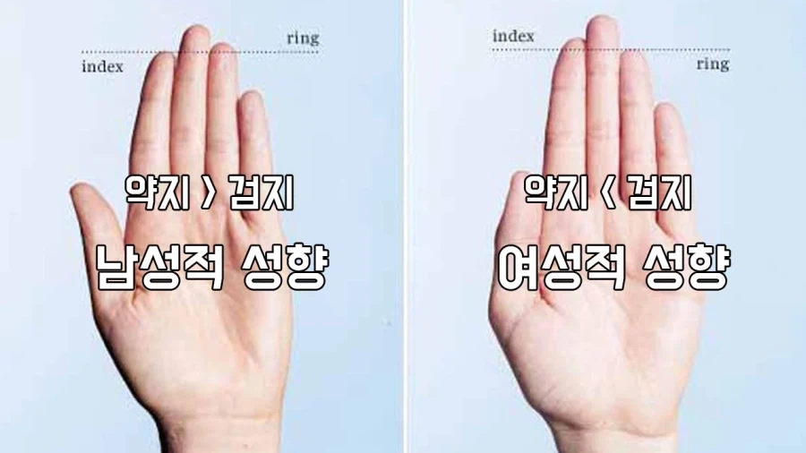 남자 손가락의 비밀_1.webp