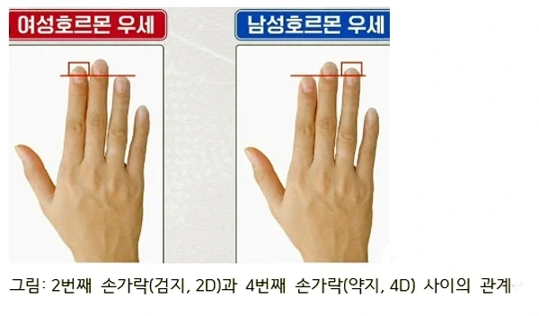 남자 손가락의 비밀_2.webp