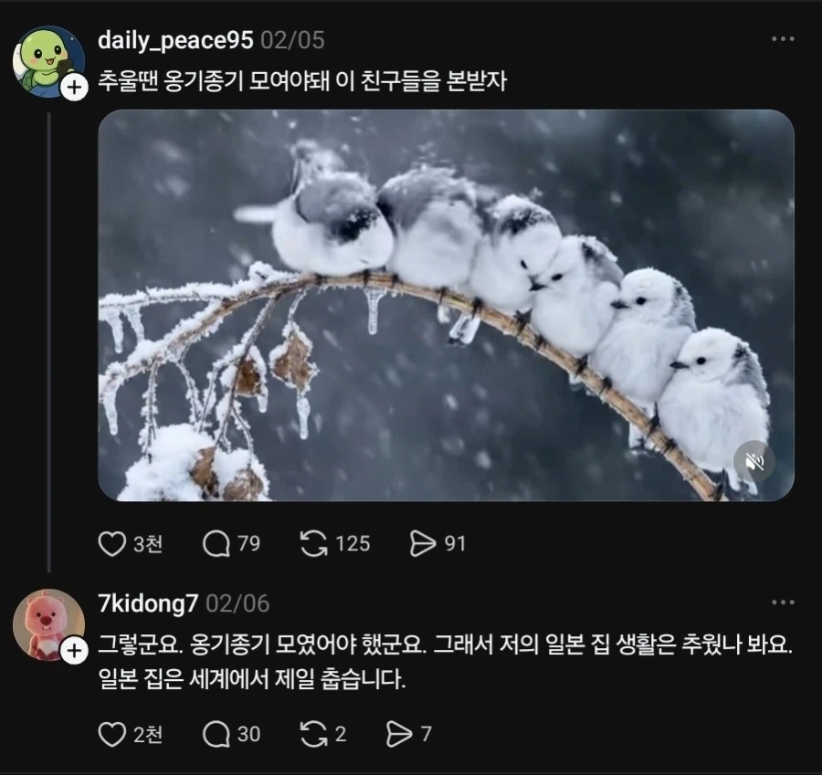 광복절에 돌아운 일본집춥좌_9.webp