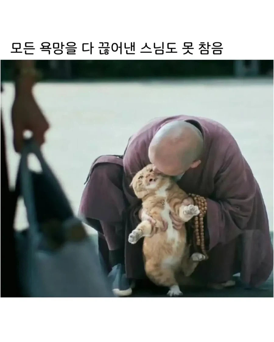 스님도 참지 못하는 욕망_1.webp