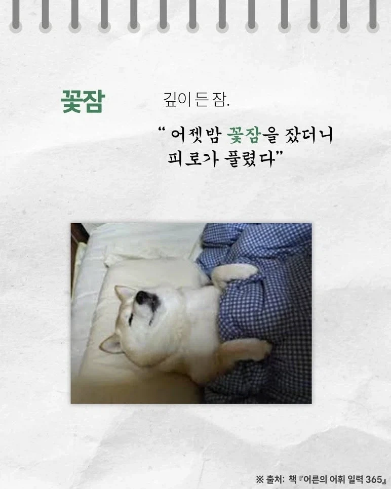 귀여운 우리말_1.webp