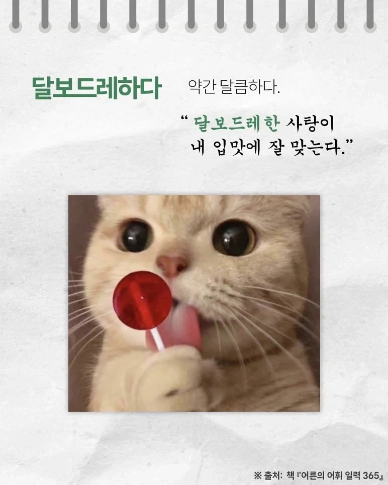 귀여운 우리말_3.webp