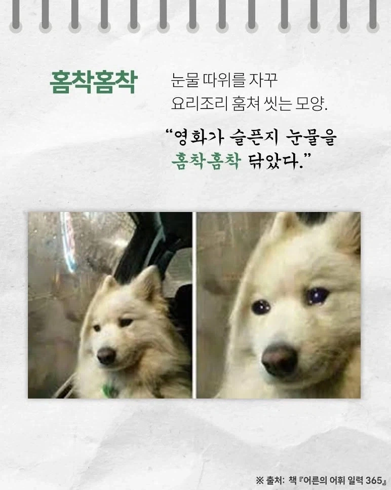 귀여운 우리말_4.webp