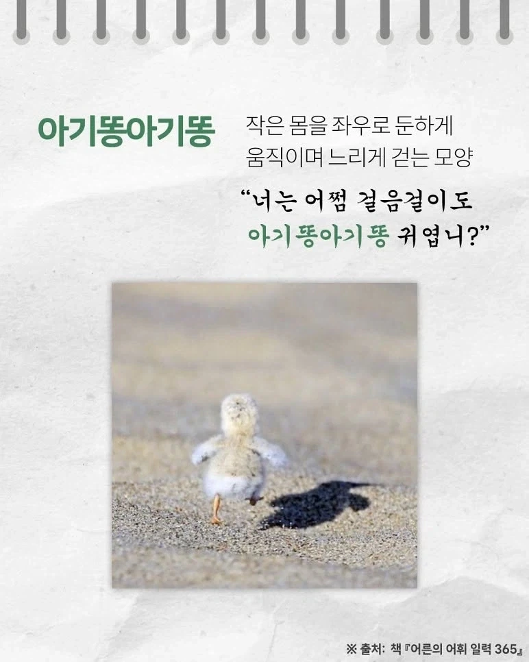 귀여운 우리말_6.webp