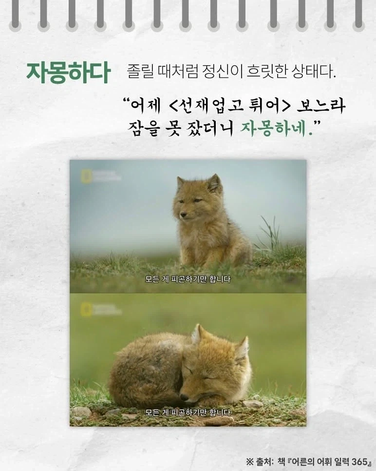 귀여운 우리말_7.webp