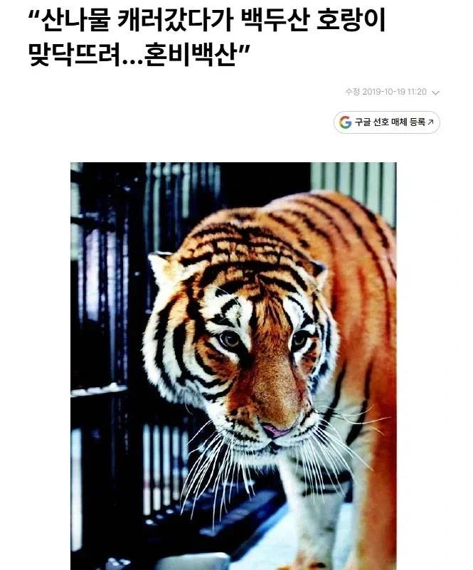 한중일에서 공통적으로 하면 위험한 행동_2.webp