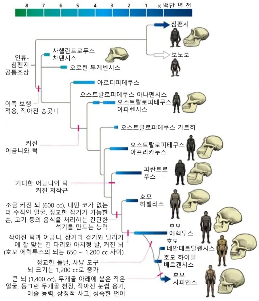 번식 경쟁에 탈락해서 번식 포기한 사람들이 신기해 하는 것_1.webp