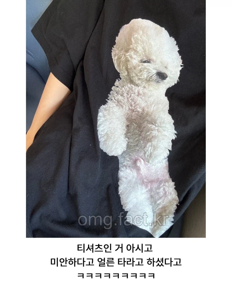 ??? : 강아지 안고 택시 타시면 안됩니다_2.webp