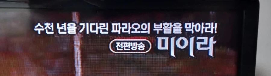 역덕들이 환장했던 영화 올타임 레전드.jpg_1.webp