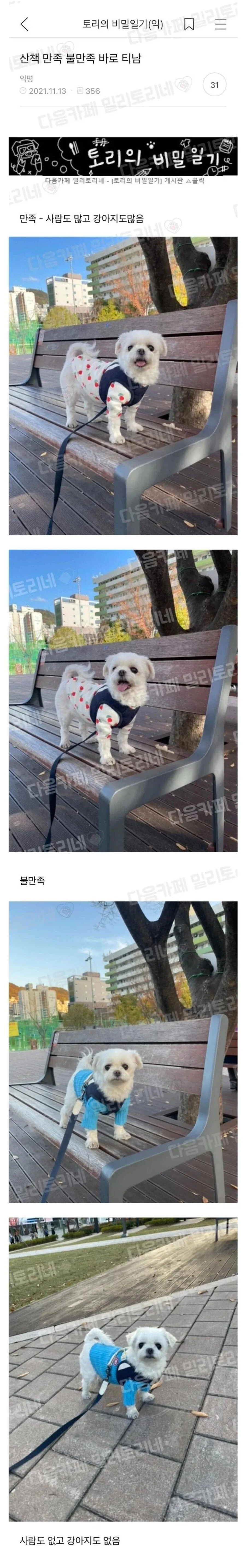 산책에 불만있는 강아지.jpg_1.webp