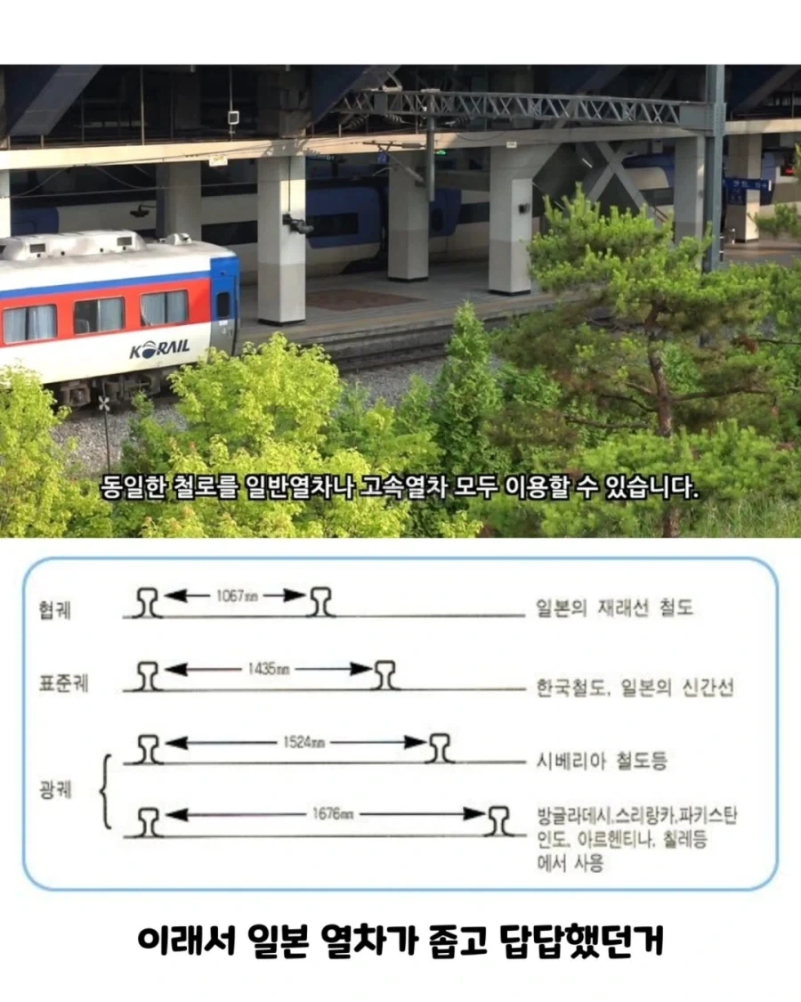 일본이 평생 안고 가야 할 실수.jpg_13.webp