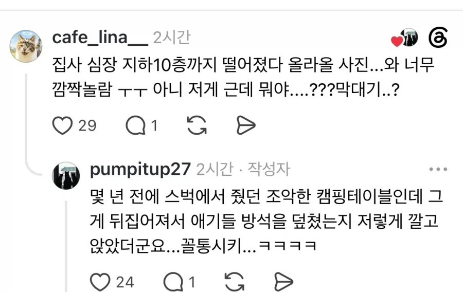 자다깨서 고양이 보고 비명지름.jpg_2.webp