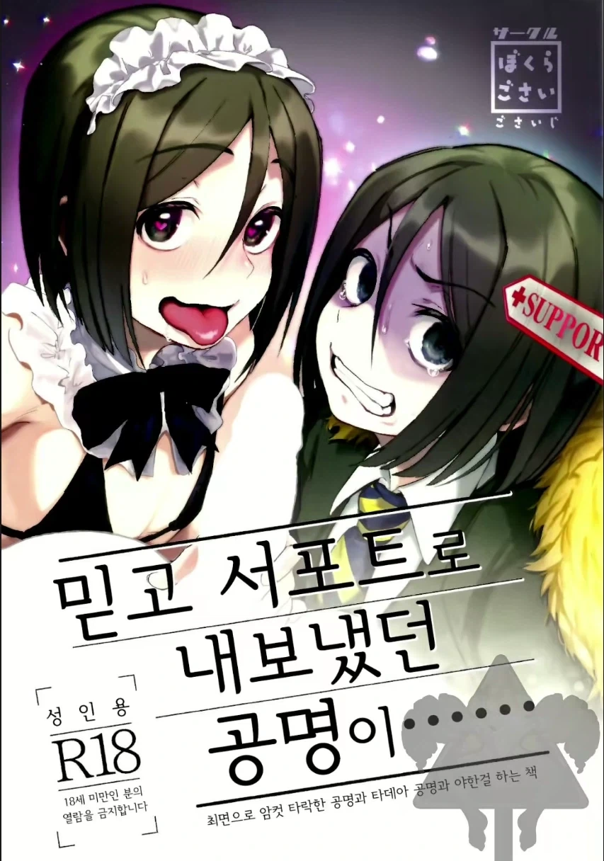 페이트)