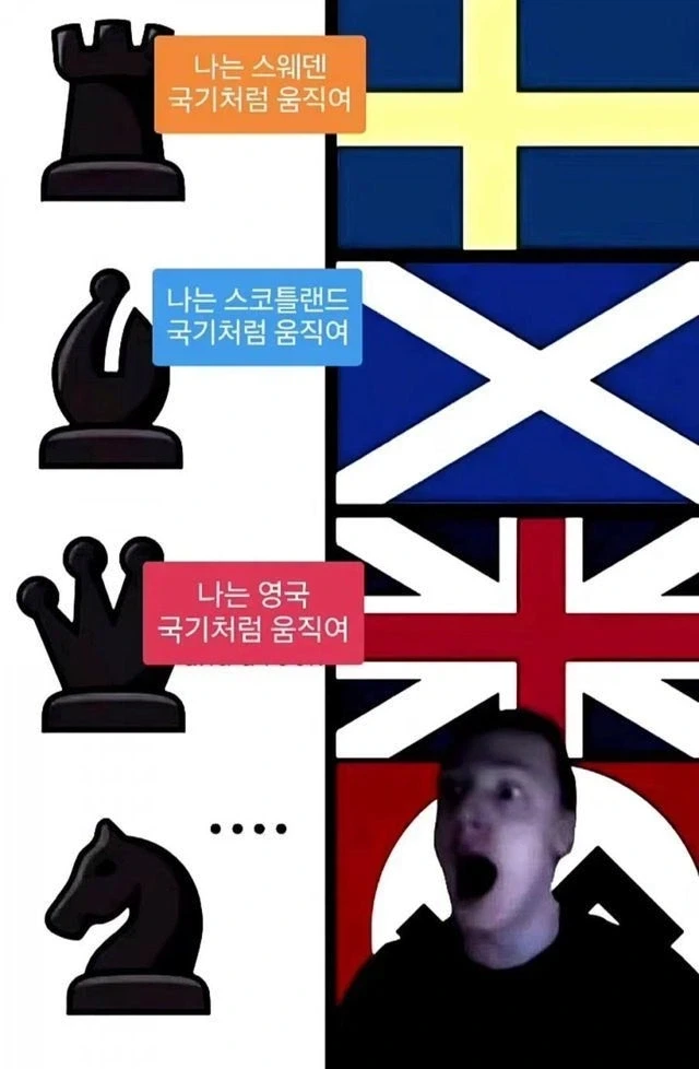 체스말의 움직임을 국기로 표현하면..._1.webp