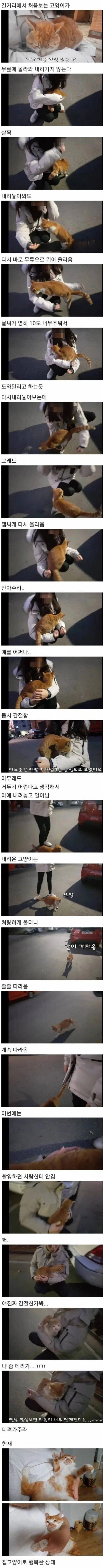 골목대장도, 영역도 다 필요없다_1.webp