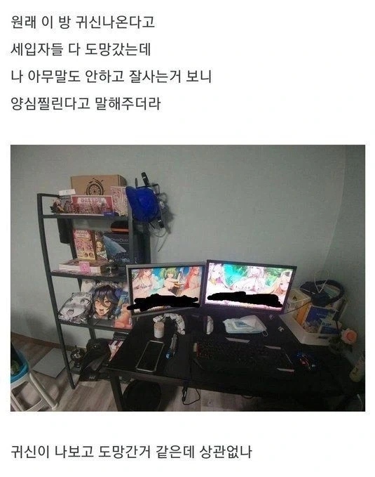귀신 나오는 방 특_1.webp