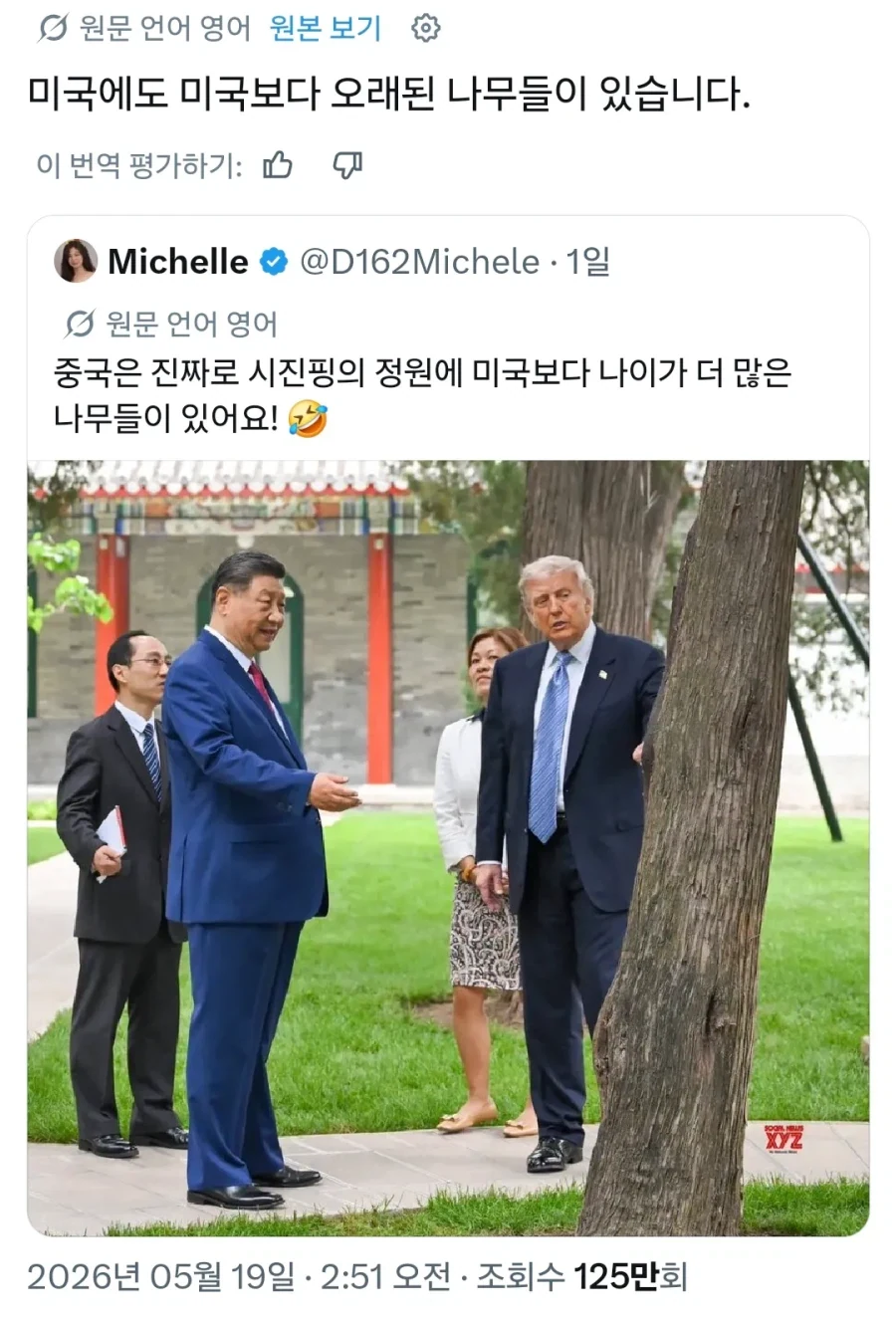 중국에는 미국보다 오래된 나무가 있다_1.webp