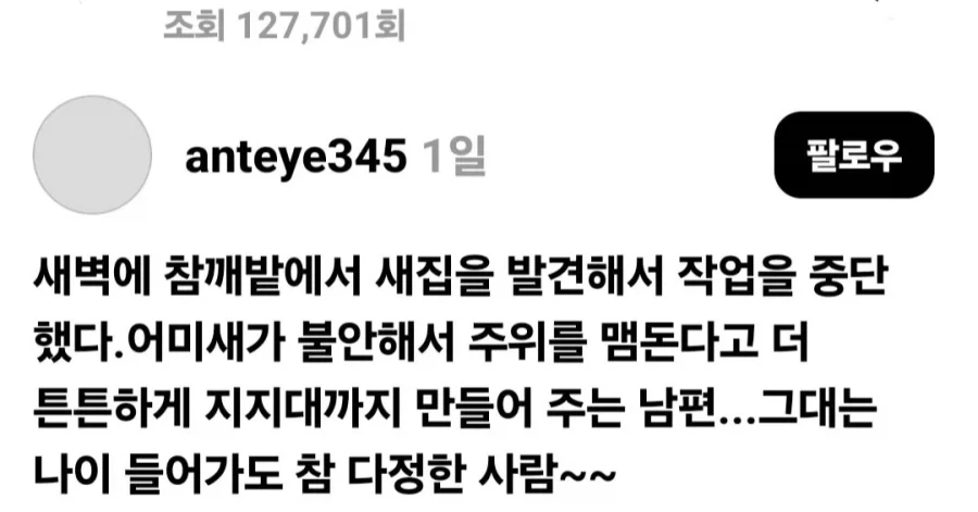 뻐꾸기알 제거한다 vs 놔둔다.jpg_1.webp