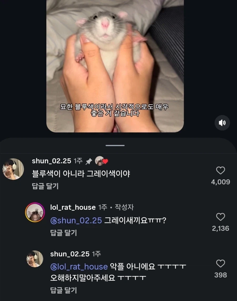욕 해놓고 악플 아니라고 함_1.webp