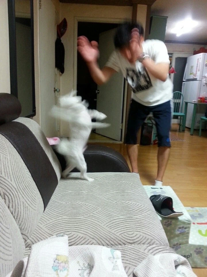 역사에 남을 개짤_1.webp
