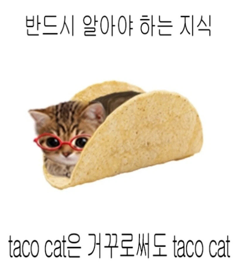 반드시 알아야 하는 지식_1.webp