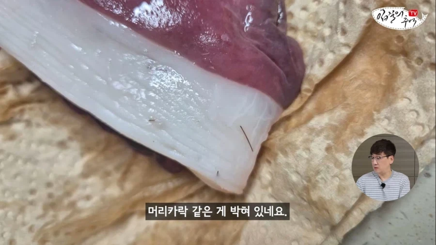 암컷 아저씨가 알려주는 절대 먹으면 안되는 문어.jpg_2.webp