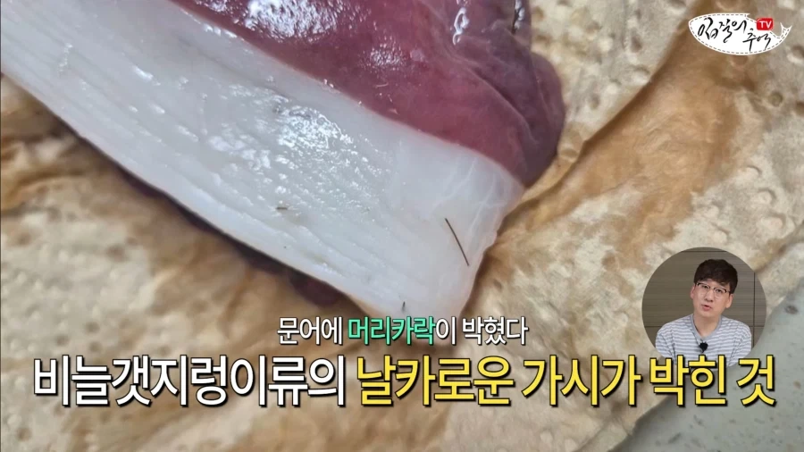 암컷 아저씨가 알려주는 절대 먹으면 안되는 문어.jpg_13.webp