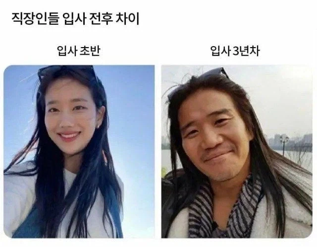 입사 전후_1.webp