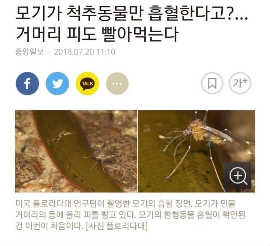 거머리보다 더한 녀석들.jpg_1.webp