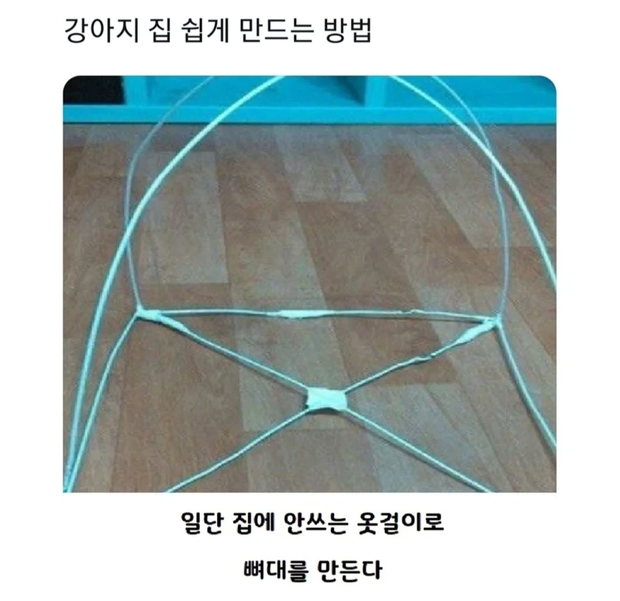 강아지 집 쉽게 만드는 방법_1.webp