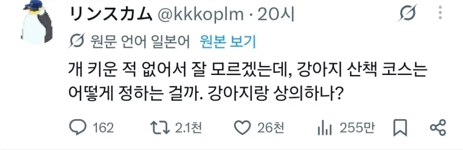 의외로 정확한 개 키워본적 없는 사람의 의문_1.webp