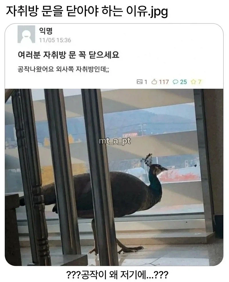 자취방 문을 꼭 닫아야 하는 이유;;_1.webp