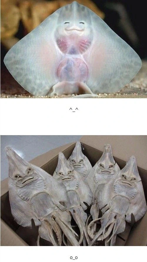 햇빛이 피부에 안좋다는 확실한 증거_1.webp