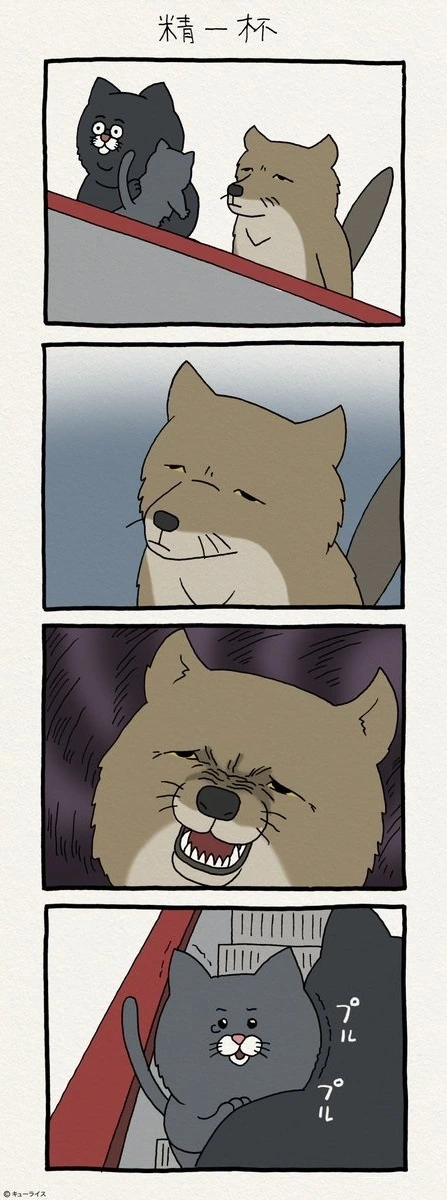 manga_1436643_001.webp