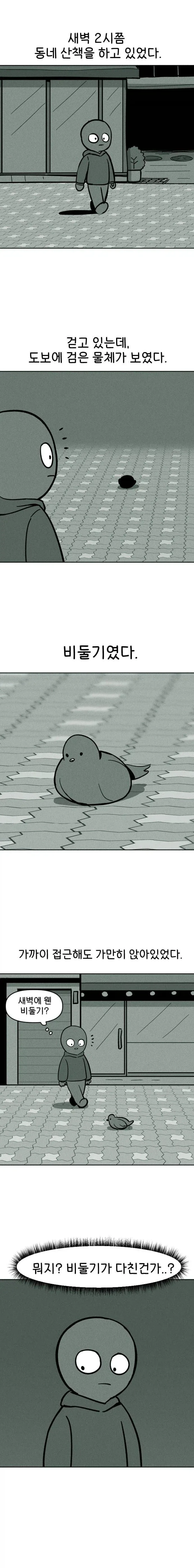 비둘기 구조하는 manhwa._1.webp