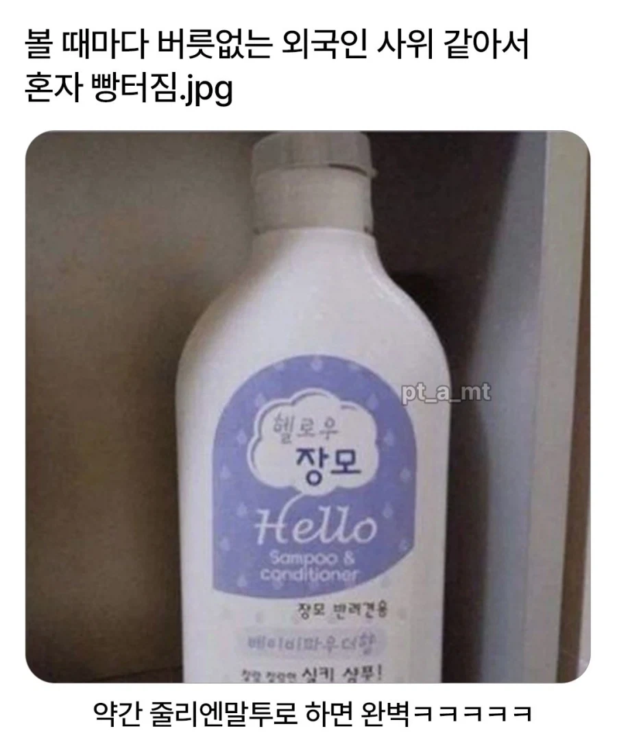 버릇없는 외국인 사위 같은_1.webp