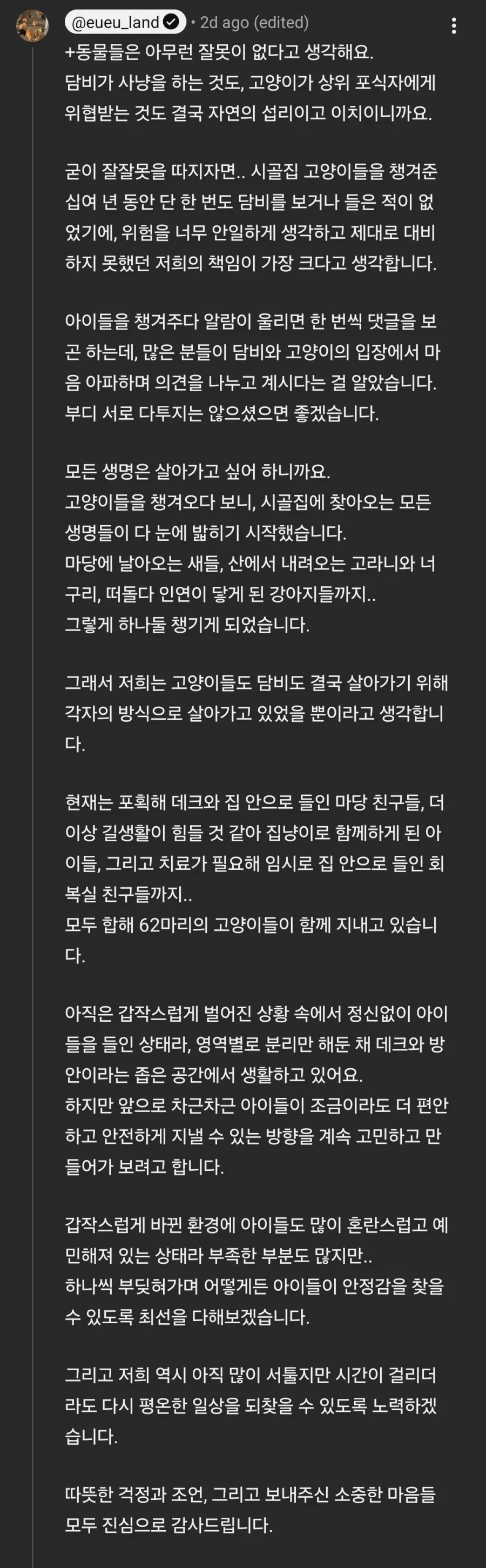 대참사난 고양이 유튜버_2.webp