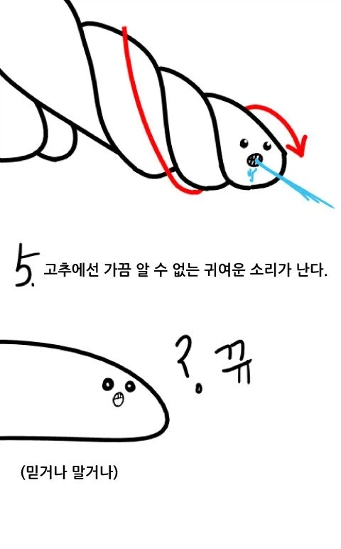 여자들은 모르는 꼬추의 비밀_1.webp