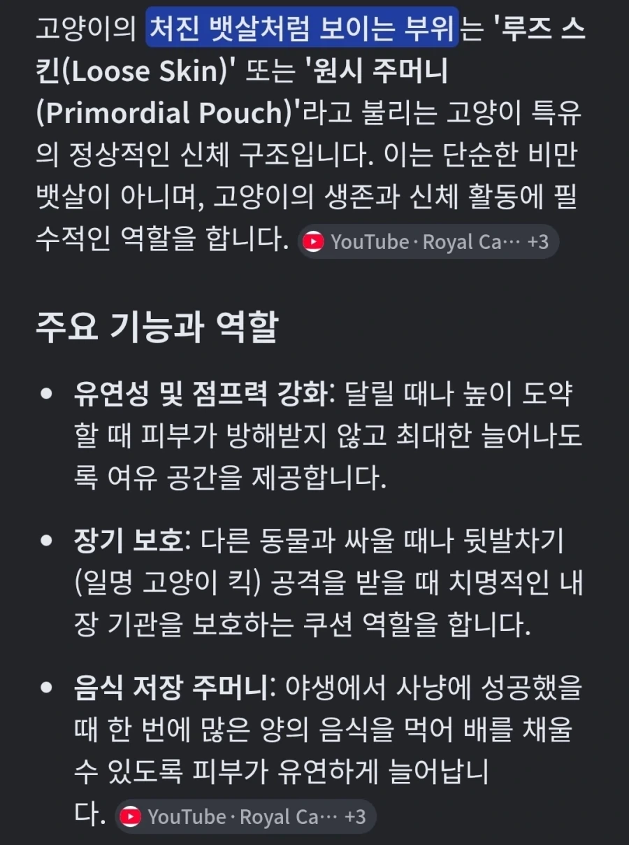 사람들이 잘 모르는 고양이 원시 주머니_1.webp