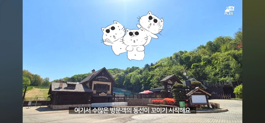에버랜드는 동물 구경이나 하는 곳이 됐다고? 어림도 없지ㅋㅋㅋ_3.webp
