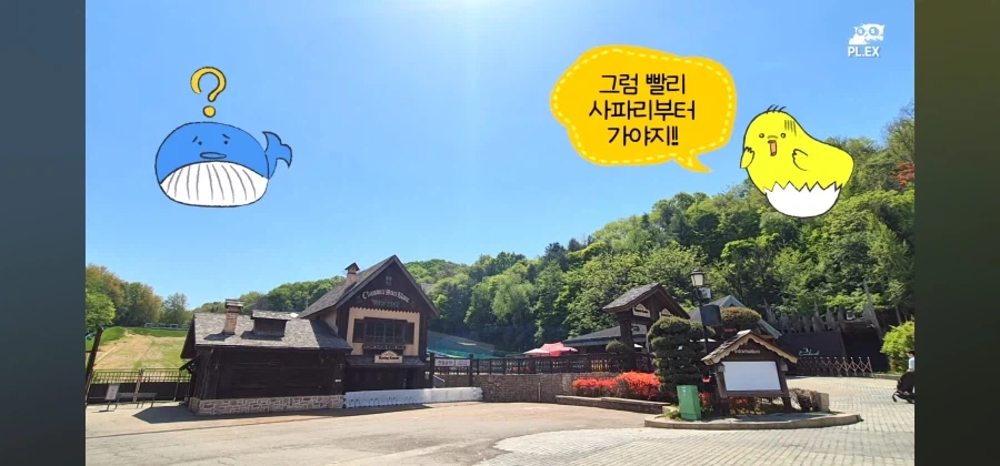 에버랜드는 동물 구경이나 하는 곳이 됐다고? 어림도 없지ㅋㅋㅋ_5.webp