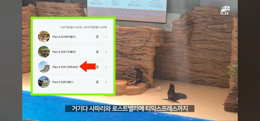 에버랜드는 동물 구경이나 하는 곳이 됐다고? 어림도 없지ㅋㅋㅋ_13.webp