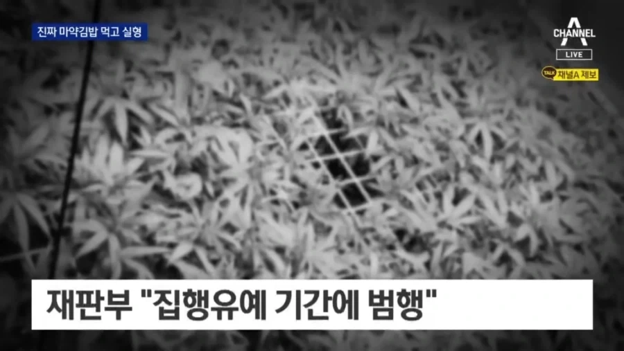 ㄹㅇ 중독적인 ㅁ약김밥 만드는 법.jpg_9.webp