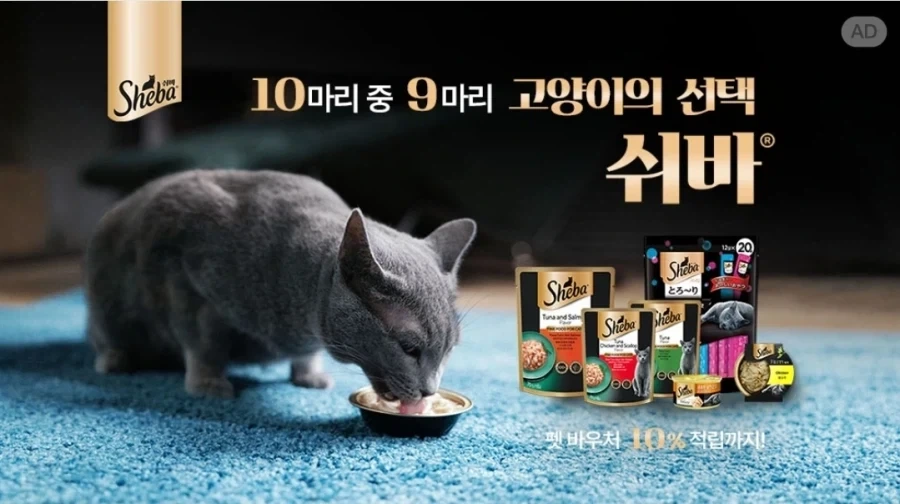 이런쉬바 당연하죠!!_1.webp